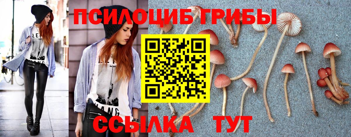 Псилоцибиновые грибы мухоморы Луховицы